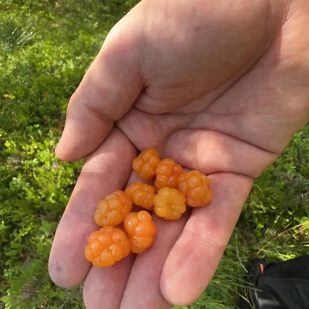 In Quiet Surroundings, Surrounded By Beautiful Nature, Near *