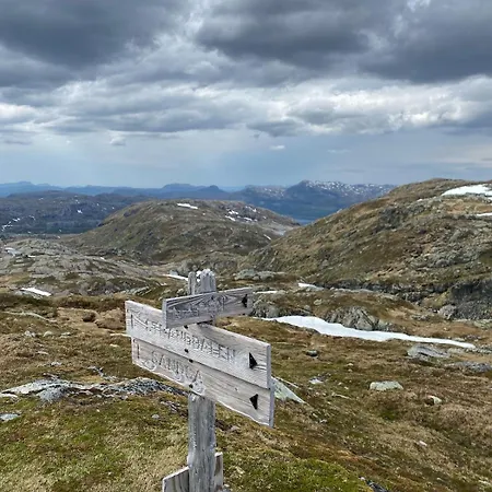 Vakantiehuis In Quiet Surroundings, Surrounded By Beautiful Nature, Near