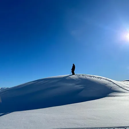 In Quiet Surroundings, Surrounded By Beautiful Nature, Near *