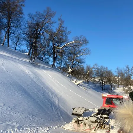 In Quiet Surroundings, Surrounded By Beautiful Nature, Near *