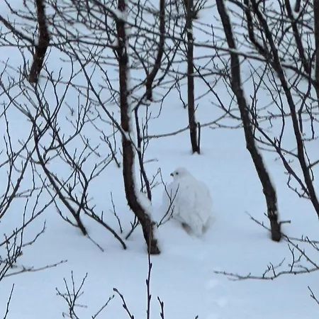 Vakantiehuis In Quiet Surroundings, Surrounded By Beautiful Nature, Near Gullingen